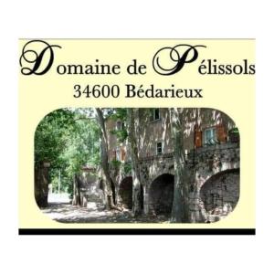 B&B / Chambre d'hôtes Chambres d'hôtes Domaine de Pélissols Domaine de pelissols 34600 Bédarieux Languedoc-Roussillon