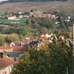 B&B / Chambre d'hôtes Chambres d'hotes Karine SMEJ 1 CHEMIN DES ORMETTES 51700 Châtillon-sur-Marne Champagne-Ardenne