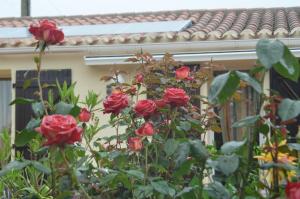 B&B / Chambre d'hôtes Chambres d'Hôtes La Forterie 1 Allée de la Noé 85150 Vairé Pays de la Loire