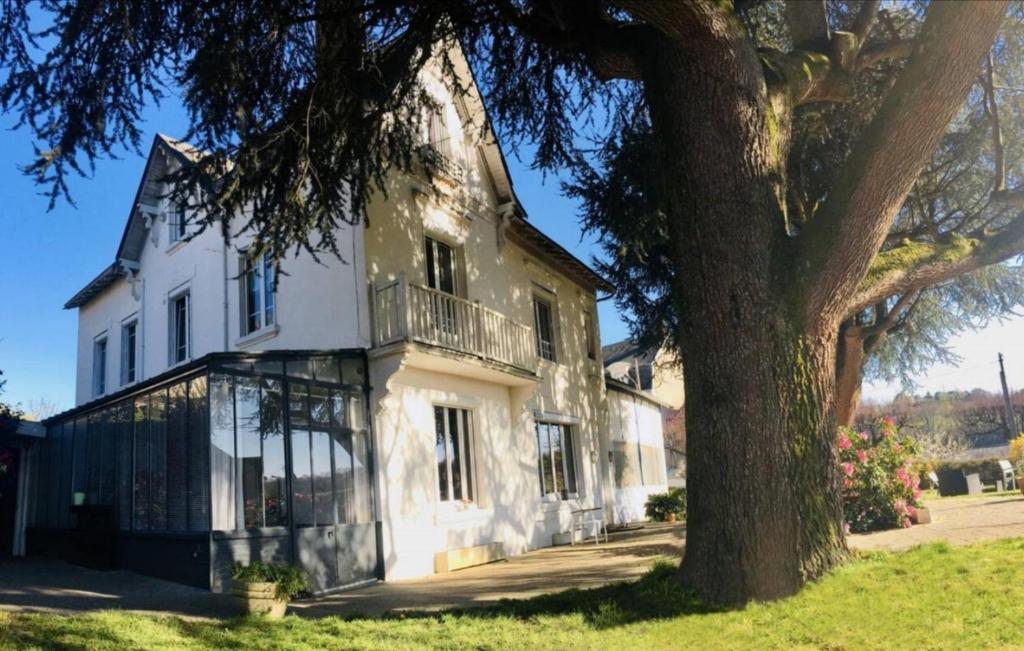 Chambres d'hôtes La Maison Blanche 15 Rue Edouard Vaillant, 87200 Saint-Junien