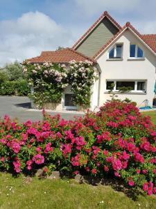 B&B / Chambre d'hôtes Chambres d'Hôtes La Villa des Hortensias 13, Chemin de la Rampée 62600 Berck-sur-Mer Nord-Pas-de-Calais