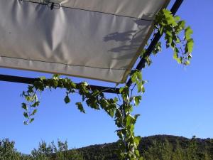 Chambres d'Hôtes Le Cadran Solaire