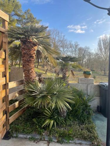 Chambres du Domaine Piscine-Spa sauna