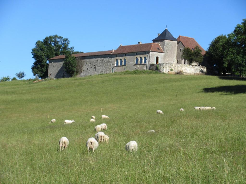 B&B / Chambre d'hôtes Chaque année, 180 personnes accueillies au sommet du Périgord Lieu dit Saint Michel 24390 Tourtoirac