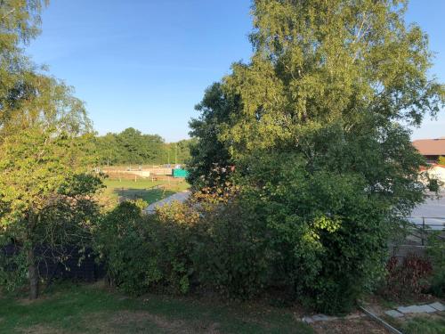 Charmantes Bed & Breakfast in Luhmühlen
