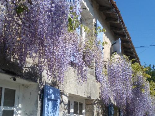 Chat Noir Gite et Chambre D'Hotes