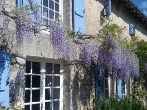 B&B / Chambre d'hôtes Chat Noir Gite et Chambre D'Hotes Les Rechers 86250 Génouillé -1