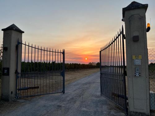 B&B / Chambre d'hôtes CHÂTEAU CANTELOUP 13 Chemin des Meneaux 33880 Saint-Caprais-de-Bordeaux Aquitaine