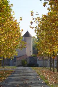 B&B / Chambre d'hôtes Chateau d'Annezay 10 rue du Chateau 17380 Annezay -1