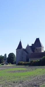 B&B / Chambre d'hôtes Chateau de Chémery 1 rue du chateau 41700 Chémery Région Centre