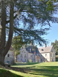 B&B / Chambre d'hôtes Château de Crocq - Chambres d'Hôtes de Charme 4, Grande Rue 23260 Crocq Limousin