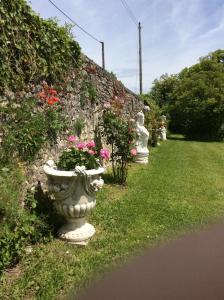 B&B / Chambre d'hôtes Chateau de Fayolle Domaine de Fayolle 24600 Ribérac Aquitaine