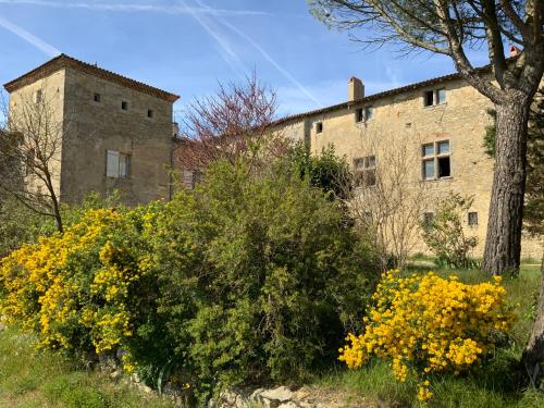 Château de Mézerville