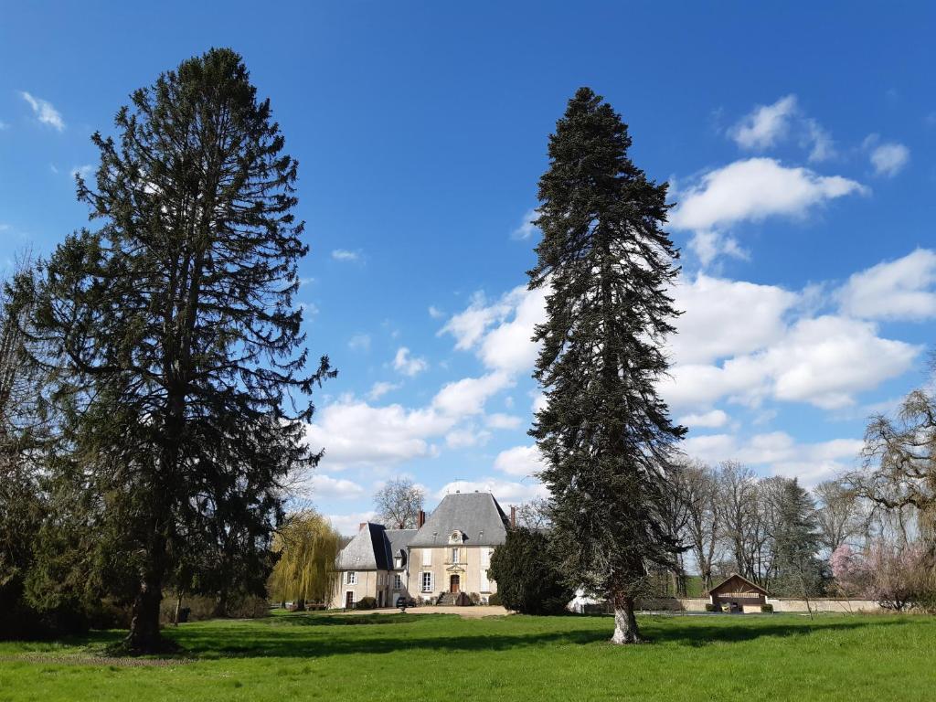 B&B / Chambre d'hôtes Château de Mongazon Mongazon Château de Mongazon 58330 Saint-Franchy