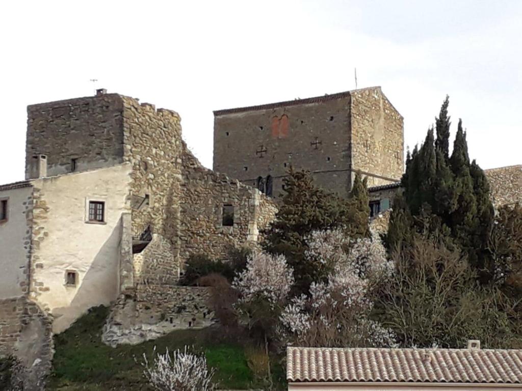 Château de Pieusse 3 Place du Concile Cathare, 11300 Pieusse