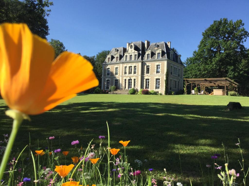 B&B / Chambre d'hôtes Château des Essards avec piscine et jacuzzi 4 route de Saint Michel - Les Essards 37130 Langeais