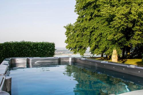 Chateau Du Landin