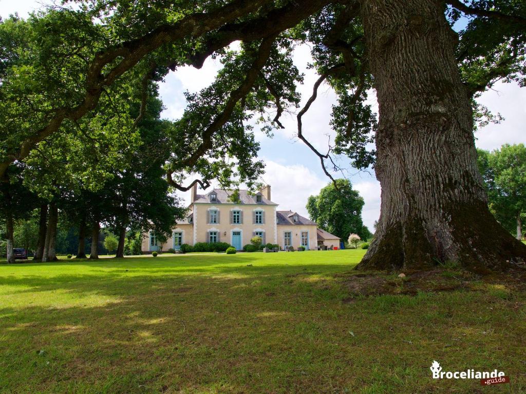 B&B / Chambre d'hôtes Château Du Pin - Les Collectionneurs Départementale 125 35750 Iffendic