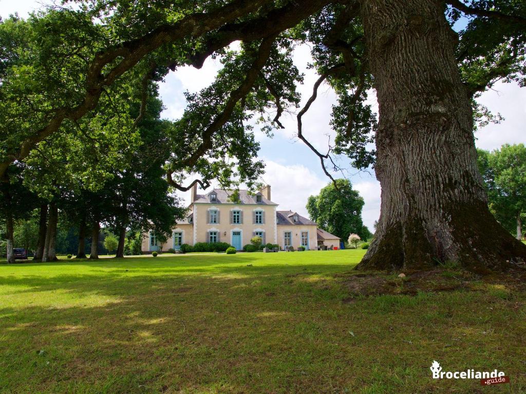 Château Du Pin - Les Collectionneurs Départementale 125, 35750 Iffendic