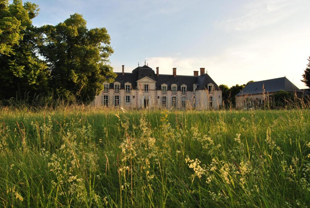 B&B / Chambre d'hôtes Chateau La Touanne Loire valley La Touanne 45130 Baccon