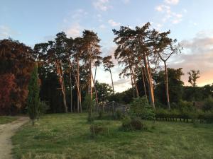 B&B / Chambre d'hôtes Chateau le Quesnoy 1800 Le Quesnoy 60710 Chevrières Picardie