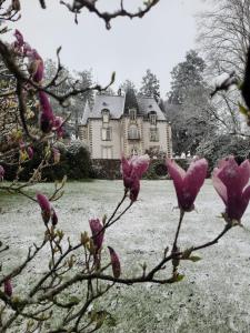 B&B / Chambre d'hôtes Chateau Maleplane Chateau Maleplane 28 Rue de Beaufort 87400 Saint-Léonard-de-Noblat Limousin