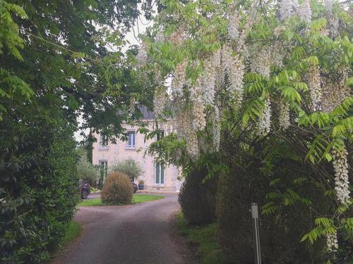 Château Ollé Laprune