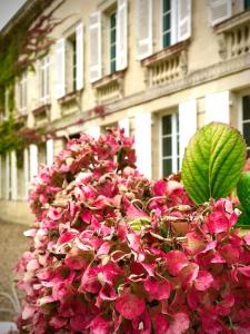 B&B / Chambre d'hôtes Château Rouge 47 1687 Porte de Gironde 47180 Sainte-Bazeille Aquitaine