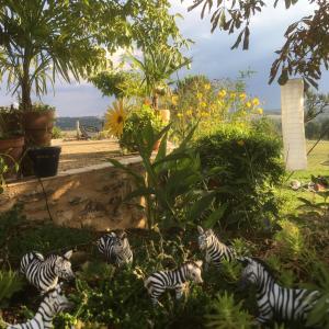 B&B / Chambre d'hôtes Chez Alice,simplicité et petite piscine Le Fau 81190 Mirandol-Bourgnounac Midi-Pyrénées