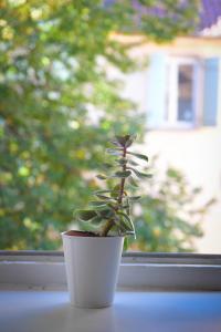 CHEZ CAROLINE dans un havre de verdure et de calme