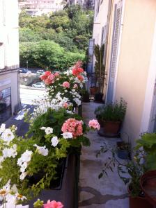 B&B / Chambre d'hôtes Chez Christel 24, rue Estienne d'Orves 84400 Apt Provence-Alpes-Côte d\'Azur