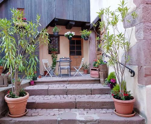 chez Coco