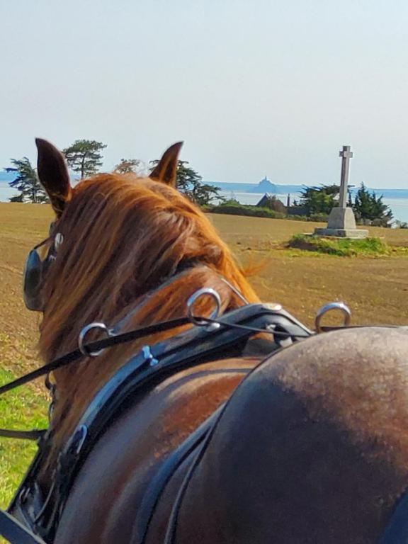 Chez Jollyjune Ferme Equestre des Courlis, à moins d'une heure du Mont Saint-Michel 2 Route de la Parisière, 50530 Champeaux