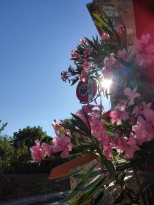Chez Laurette