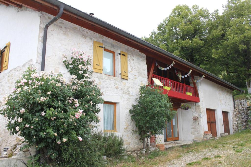 B&B / Chambre d'hôtes Chez Louve Bleue lieu dit Rachet - 01260 Hotonnes