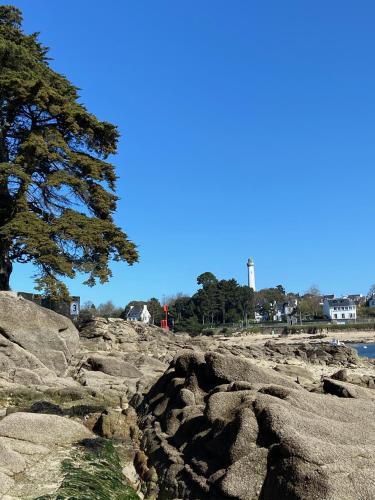 Chez Martine