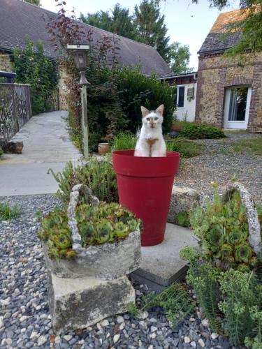 Chez Noelle