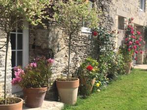 B&B / Chambre d'hôtes Chez Thomas 7 Route du Monde Ancien Le Monde Ancien 14260 Saint-Georges-dʼAunay Normandie