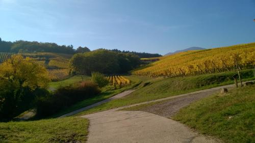 Chez Yolande