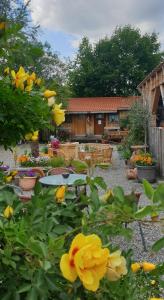B&B / Chambre d'hôtes Chrom Ranch Reiterhof Im Dickenreis 61 87700 Memmingen Bavière
