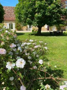 B&B / Chambre d'hôtes Clos de Bartinquie Clos de bartinquie 24150 Lalinde Aquitaine