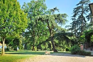 Clos Saint-Blaise