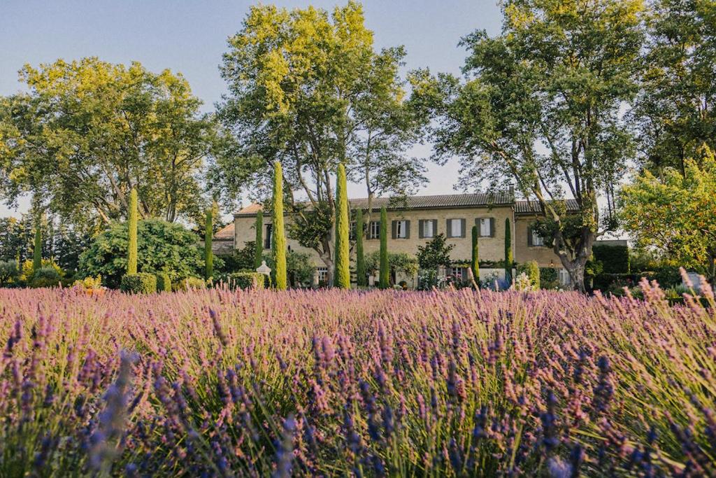 B&B / Chambre d'hôtes Clos Saint Estève 1292 Chemin de Tourraque 84250 Le Thor