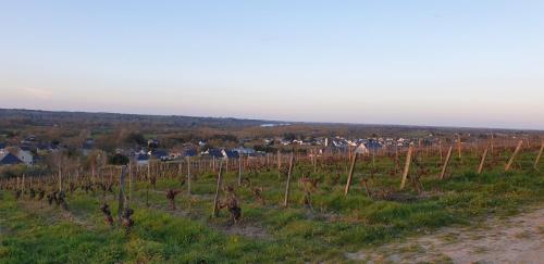 Clos sainte catherine