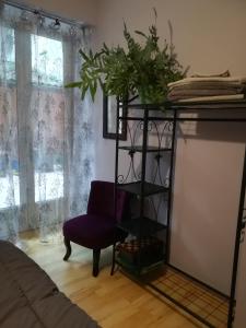 B&B / Chambre d'hôtes Côté Cour 40 rue Aristide Briand 64300 Orthez Aquitaine