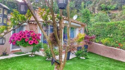 Dans UN JARDIN BB et JACUZZI