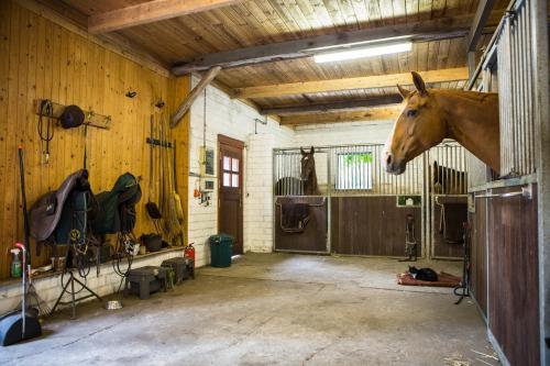 Davidshof, Bed & Breakfast