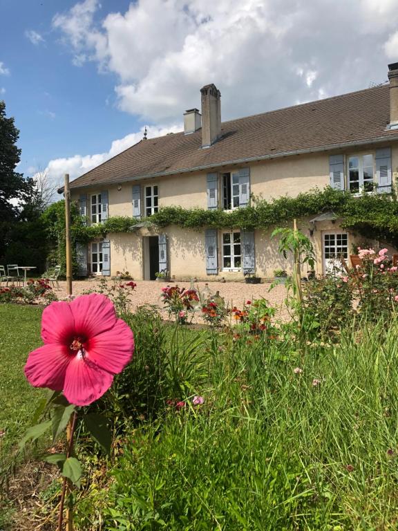 B&B / Chambre d'hôtes Dealettante 8 Place du Petit Magny 70500 Bétaucourt