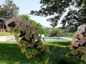 Domaine Abartiague