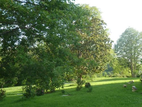 Domaine Abartiague